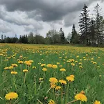 Wrzosowy Dwor - 3* Skomielna Czarna