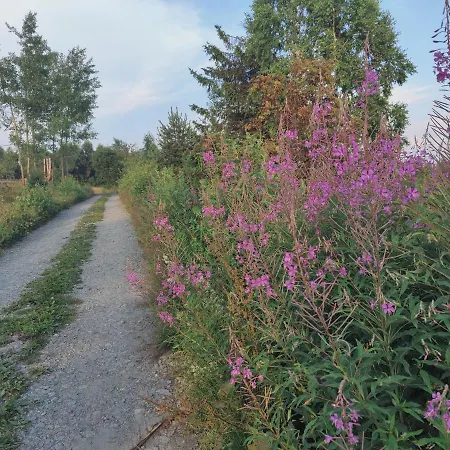 Gasthof Wrzosowy Dwor - 3*