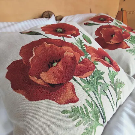 Wrzosowy Dwor - Konukevi Skomielna Czarna