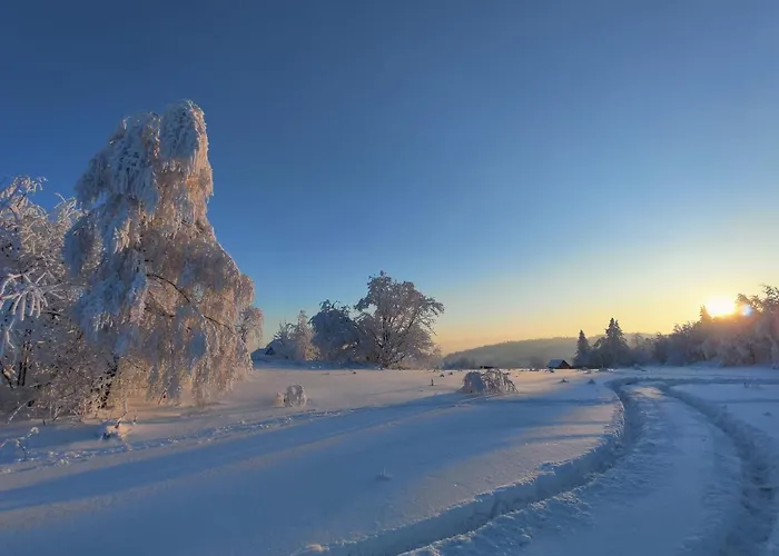 Wrzosowy Dwór - Pensjonat Skomielna Czarna