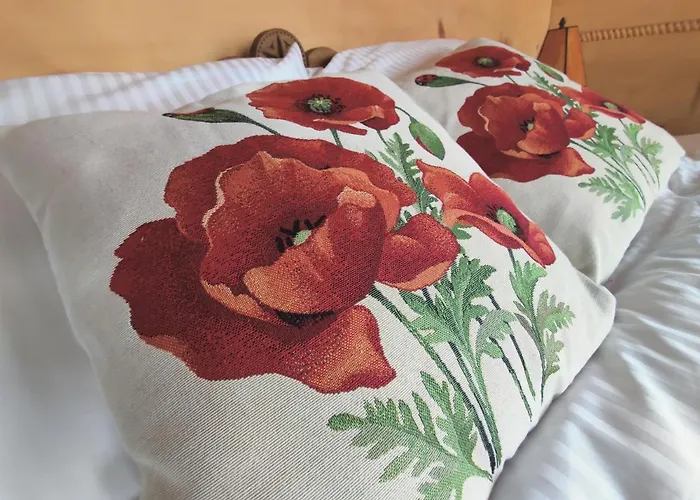 Wrzosowy Dwór - Pensjonat Skomielna Czarna